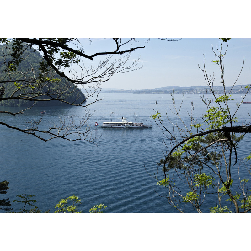 Abonnement annuel "Lake Lucerne-Pass" 1ère classe